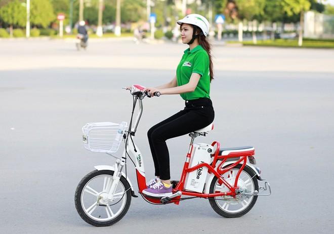 Hình minh hoạ