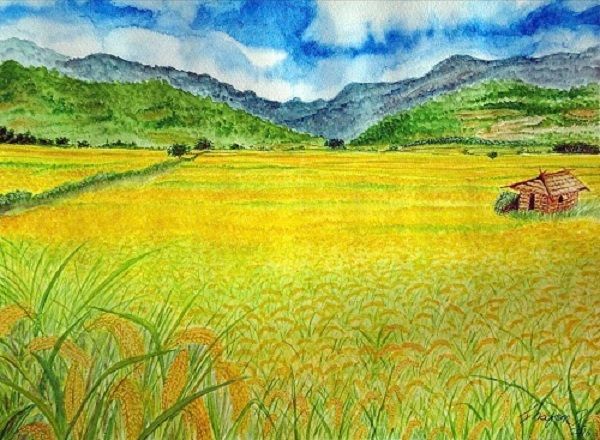 Ảnh minh họa (Nguồn internet)