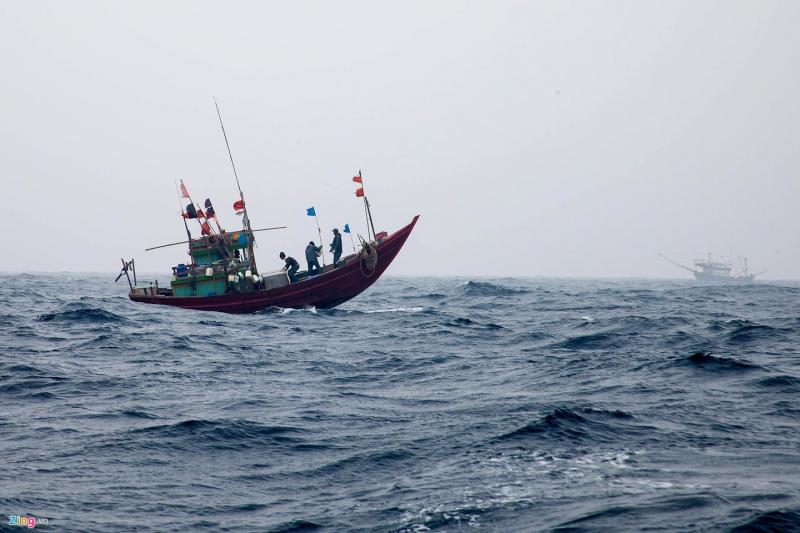 Ảnh minh họa (Nguồn internet)