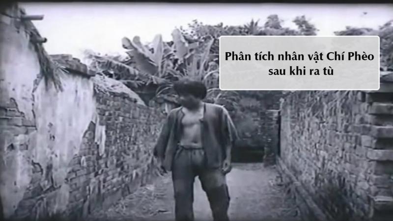 Bài văn phân tích giá trị nhân đạo trong tác phẩm 