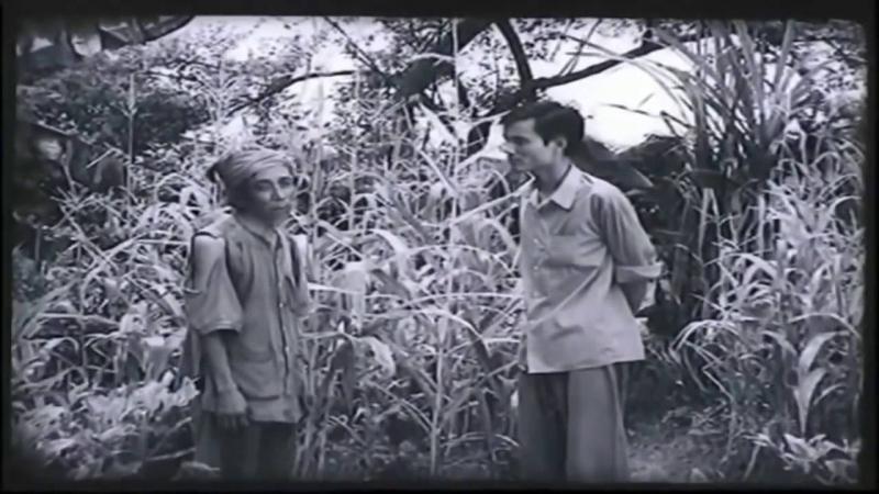 Ảnh minh họa (nguồn internet)