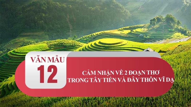 Bài văn phân tích tác phẩm 