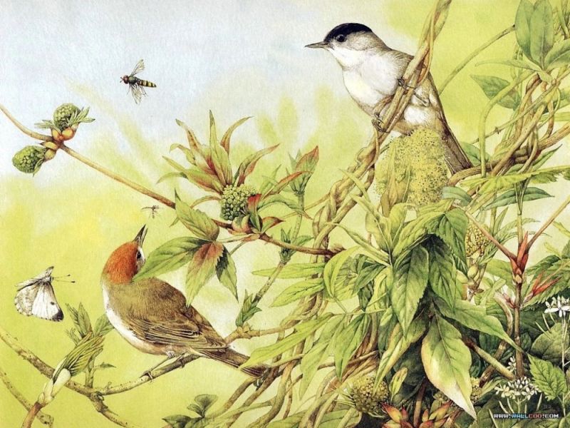 Ảnh minh họa (Nguồn internet)