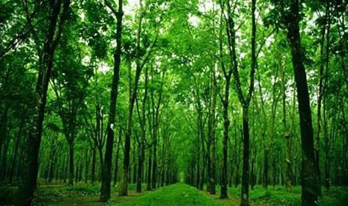 Bài văn phân tích nhân vật Tnú trong truyện 