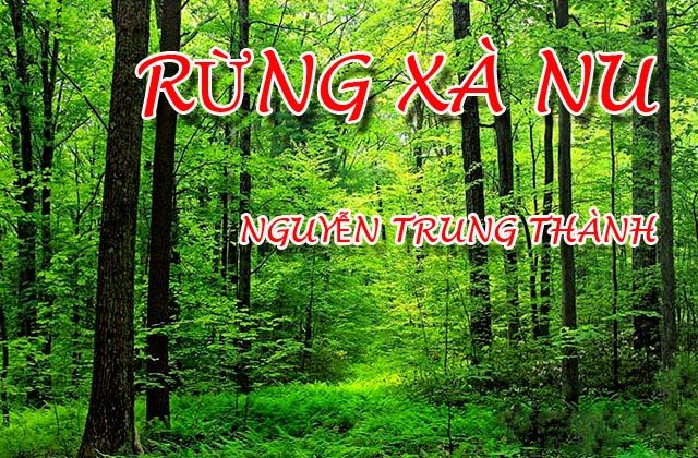 Bài văn phân tích nhân vật Tnú trong truyện 