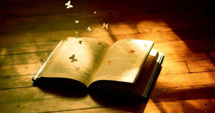 Hay là mình thôi không nhắc về hạnh phúc?