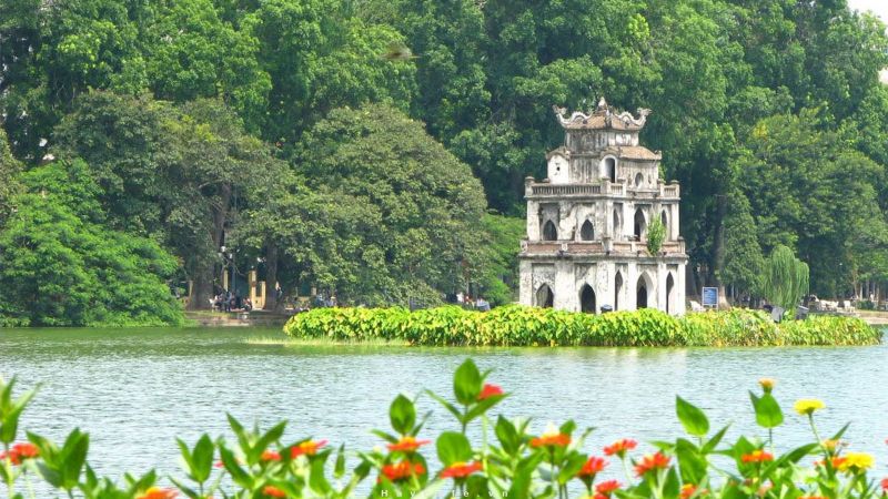 Ảnh minh họa (Nguồn internet)