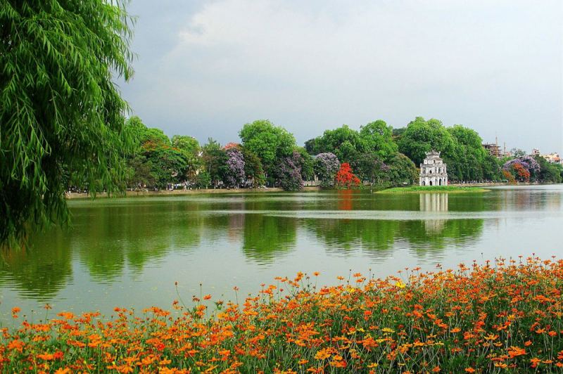 Ảnh minh họa (Nguồn internet)