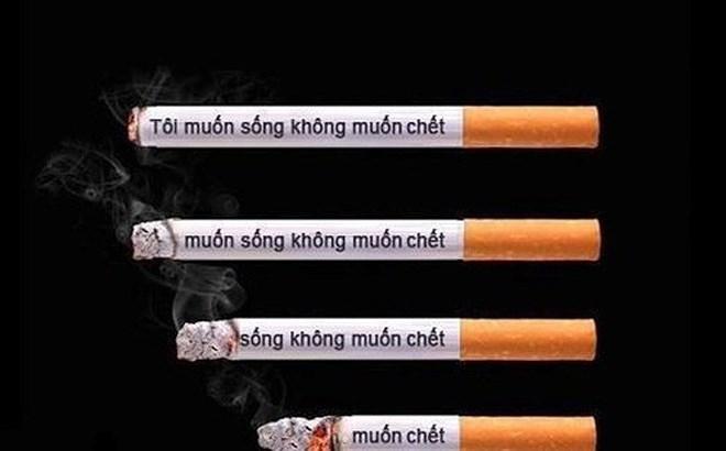 Ảnh minh họa (Nguồn internet)