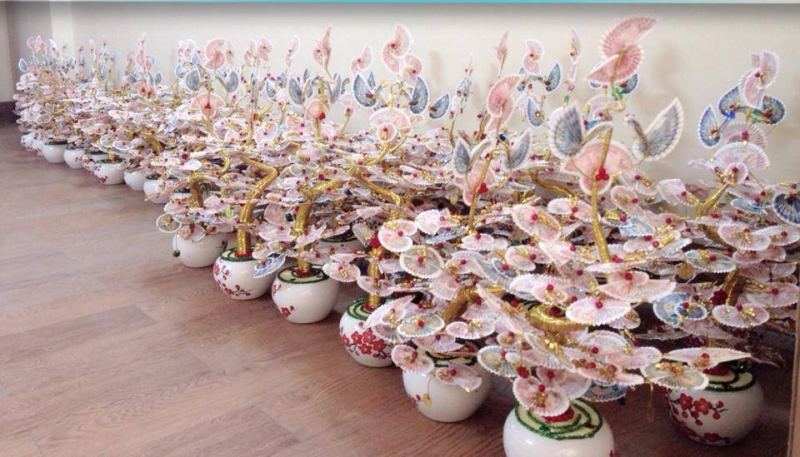 Cây tiền thật tết