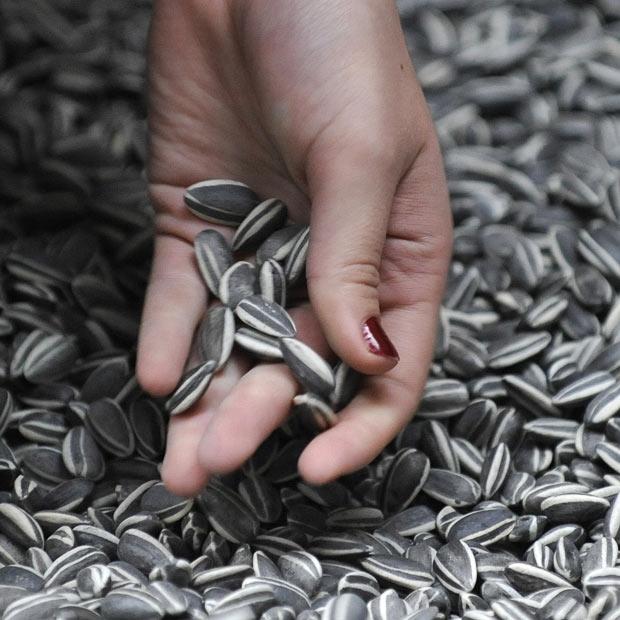 Hàng ăn vặt bán rất chạy trong dịp Tết