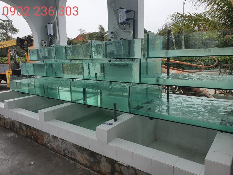 Bể Hải Sản Thành Phát