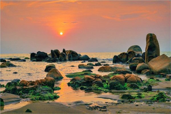 Rêu xanh Cổ Thạch - Bình Thuận