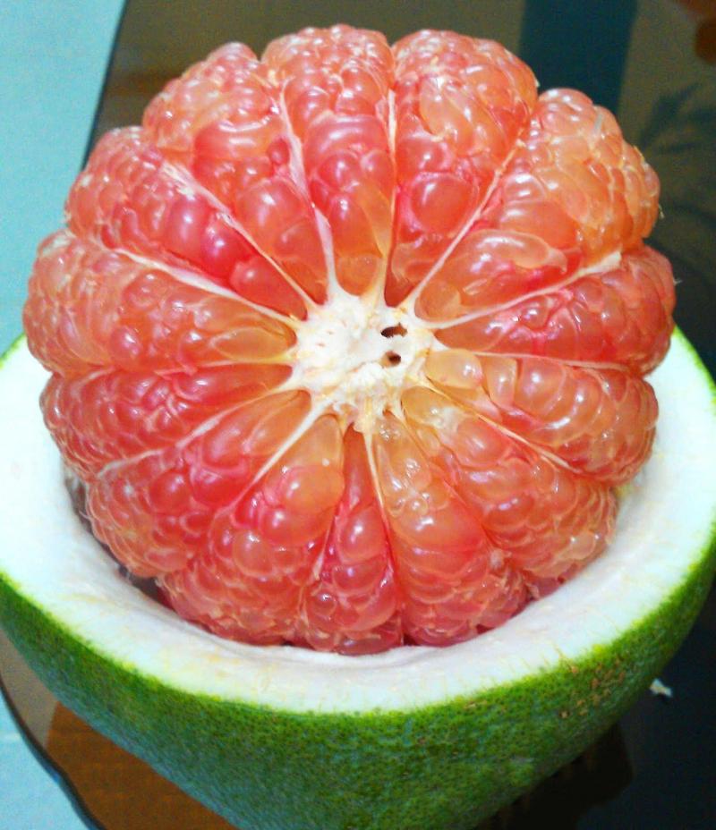 Bưởi ruột đỏ