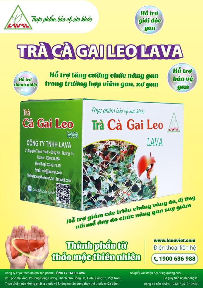 Cà gai leo Lava - Công ty TNHH Lava