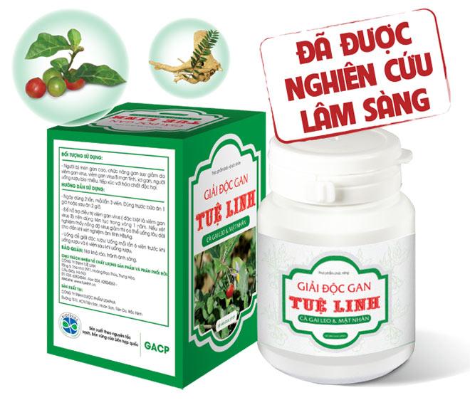 Cà gai leo - Công ty TNHH Tuệ Linh