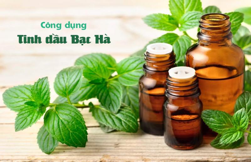 Tinh dầu bạc hà