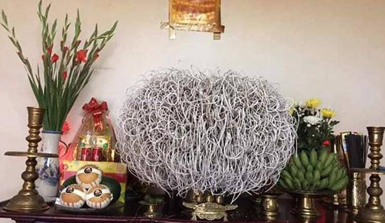 Từ ngàn xưa, ông cha ta đã sử dụng nước ngũ vị hương từ 5 loại cây để lau dọn bàn thờ.