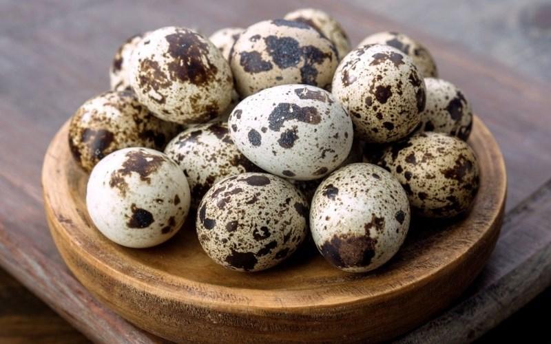 Cân bằng mức cholesterol