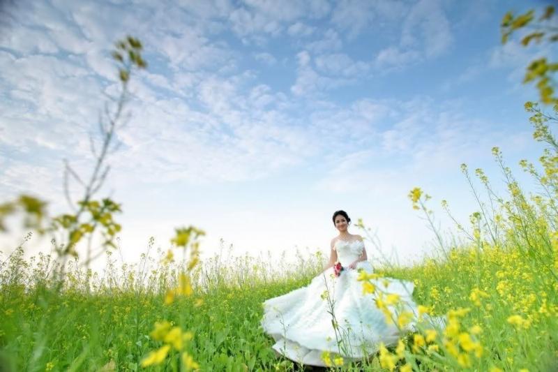 Cánh đồng hoa cải