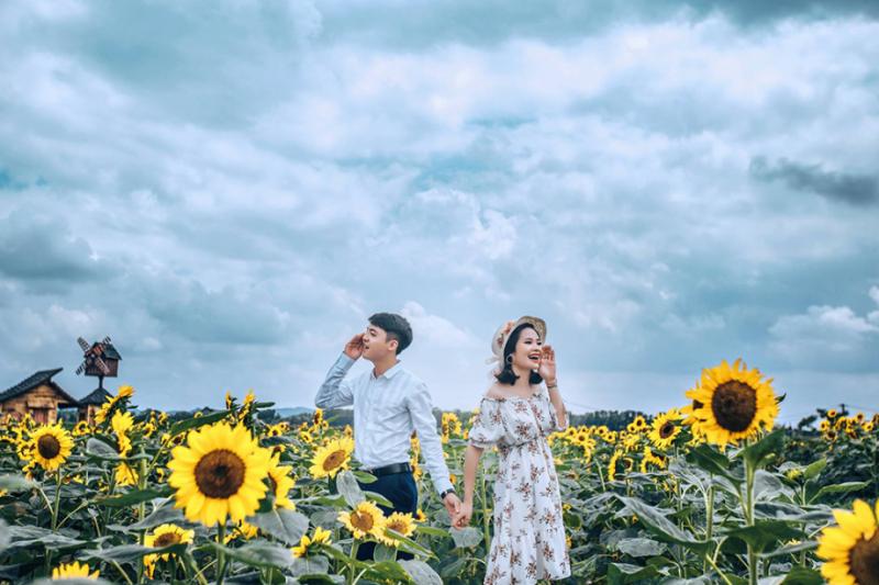 Cánh Đồng Hoa Hướng Dương