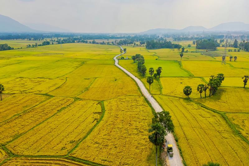 Ngày tháng mười