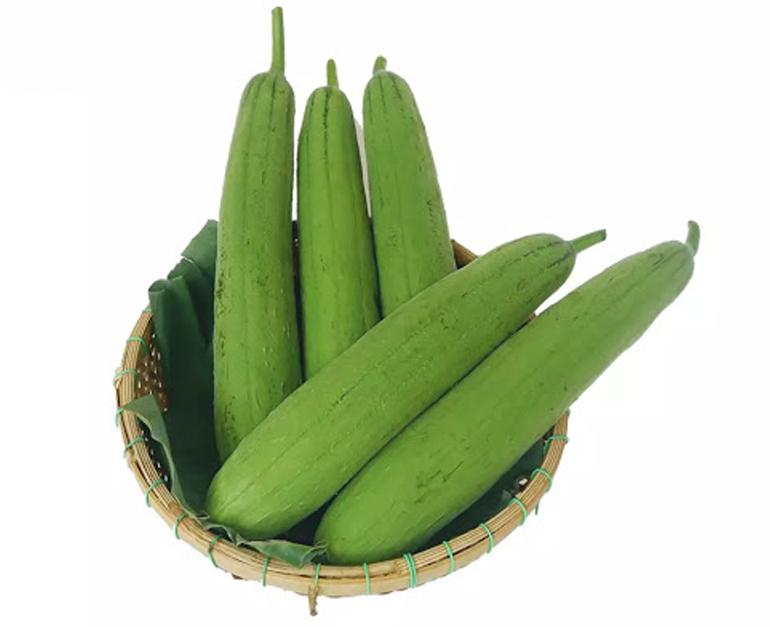 Trái mướp