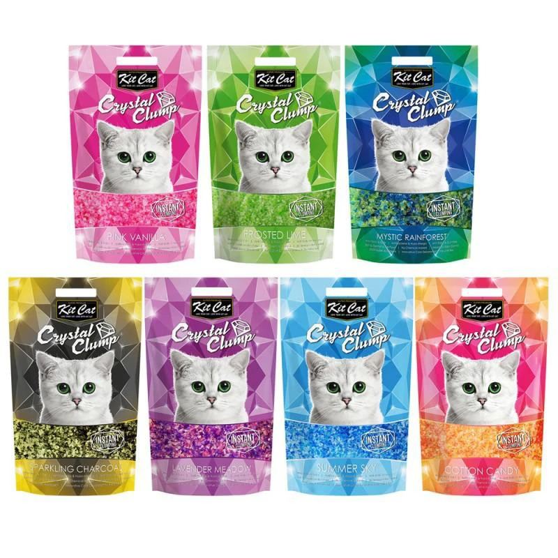 Cát Thủy Tinh Kitcat