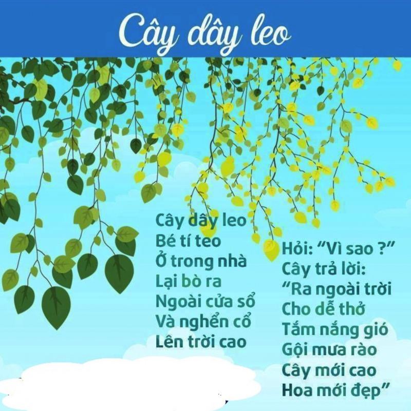 Cây dây leo