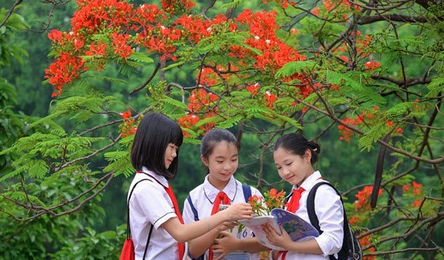 Ảnh minh họa (nguồn internet)