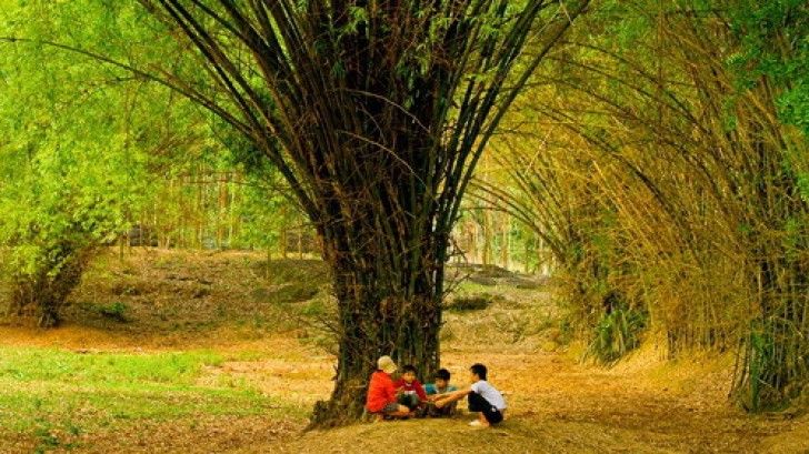 Tiếng nói từ tuổi thơ
