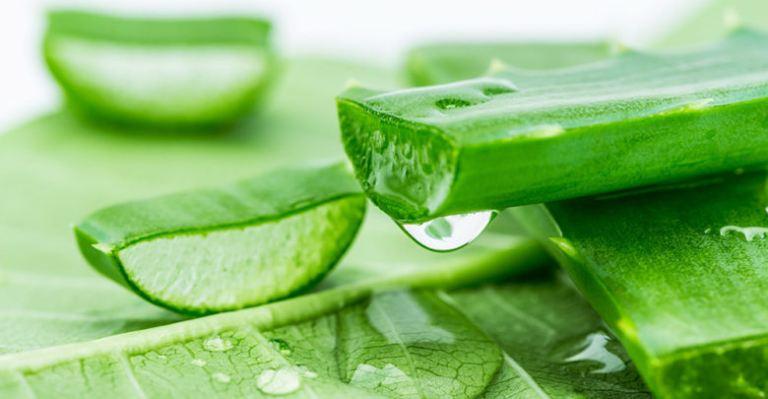 Trị mụn bằng Nha Đam
