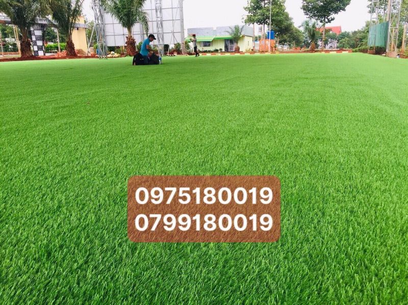 Cỏ nhân tạo SG