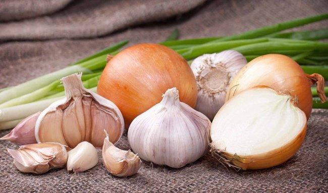 Có tác dụng giảm sưng tấy, chữa vết thương do muỗi đốt