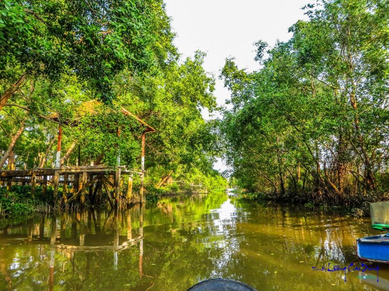 Cồn Sơn là điểm du lịch dành cho cặp đôi thích khám phá