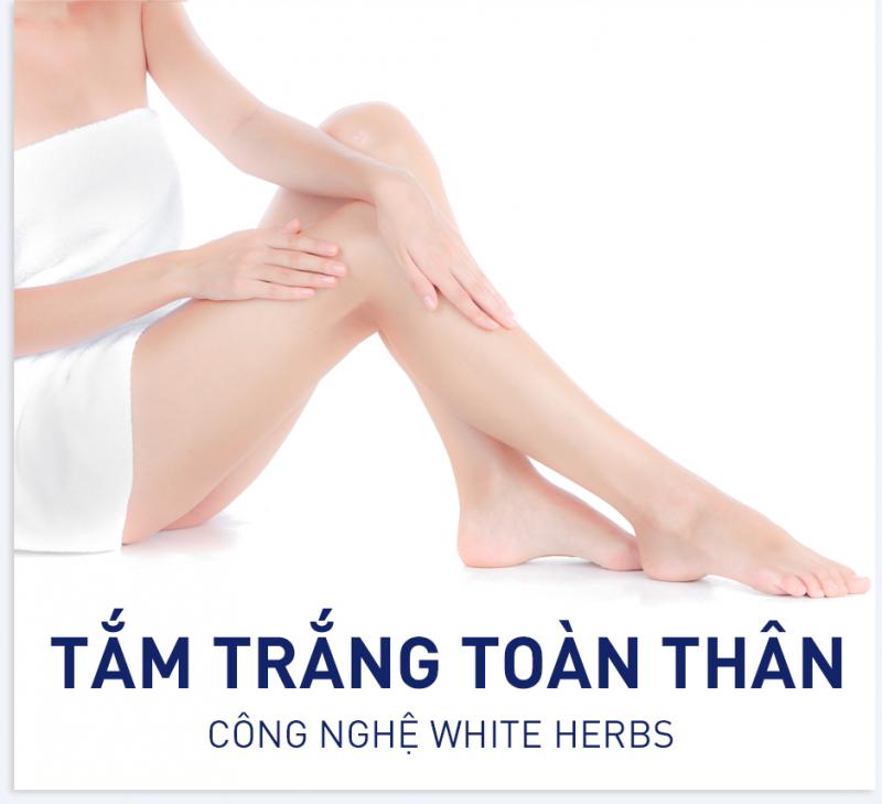 Công nghệ White Herbs