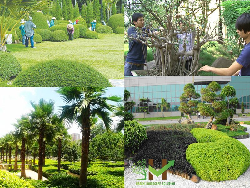 Công ty Cổ phần Dịch vụ và Sản xuất Sơn Kim