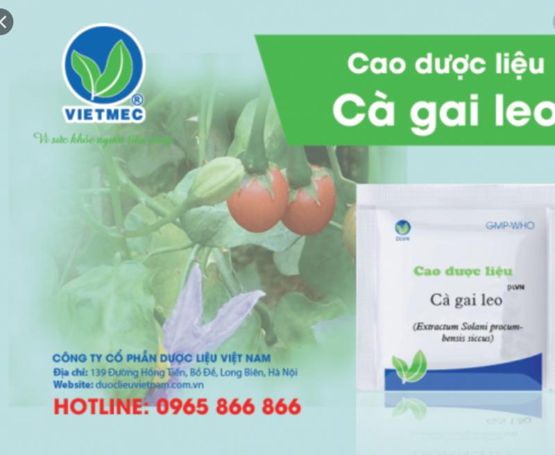 Công ty cổ phần Dược Liệu Việt Nam (VIETMEC)