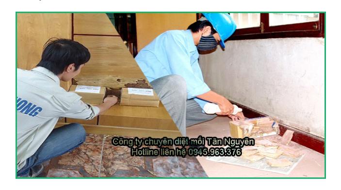 Công ty diệt côn trùng Tân Nguyên