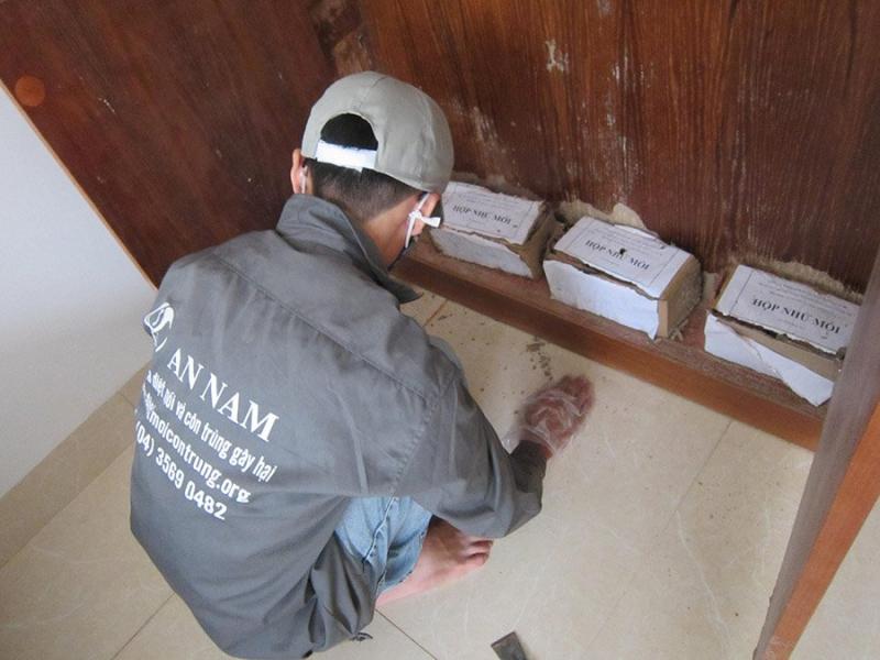 Công ty diệt mối côn trùng An Nam (An Nam Pest Control) - đơn vị diệt mối tận gốc uy tín hàng đầu Hà Nội
