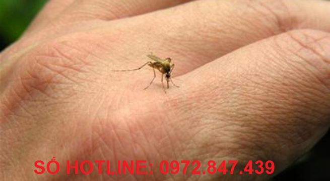Công ty diệt mối Trần Đăng
