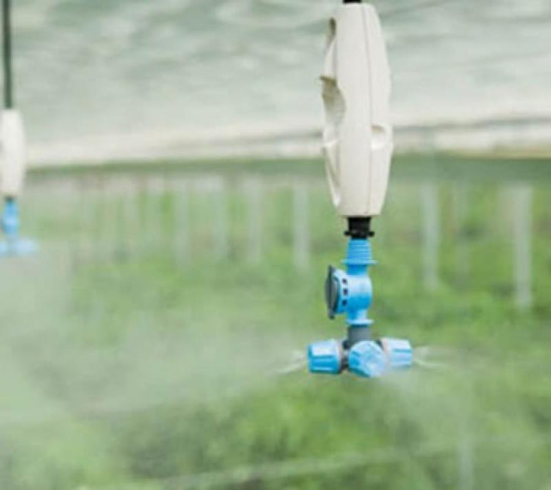 Công Ty TNHH Cây Xanh Cảnh Quan Hoa Sen Việt