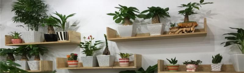 Công ty TNHH Đầu tư và Dịch vụ Đức Thắng