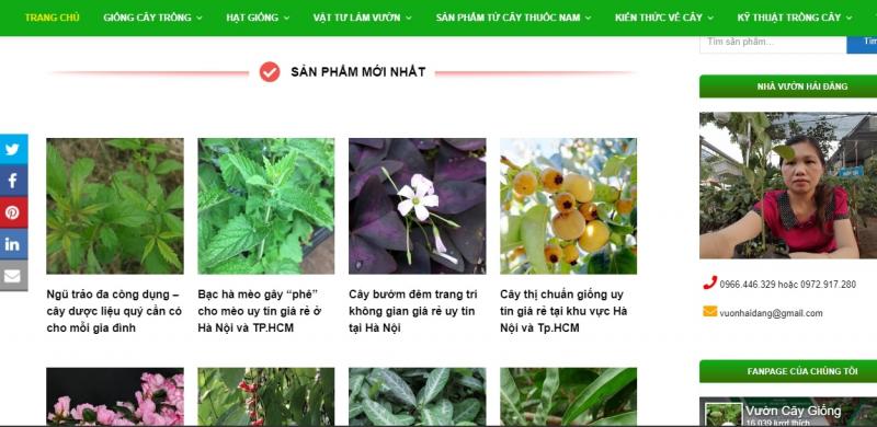 Công ty TNHH DTSX TMDV Hải Đăng