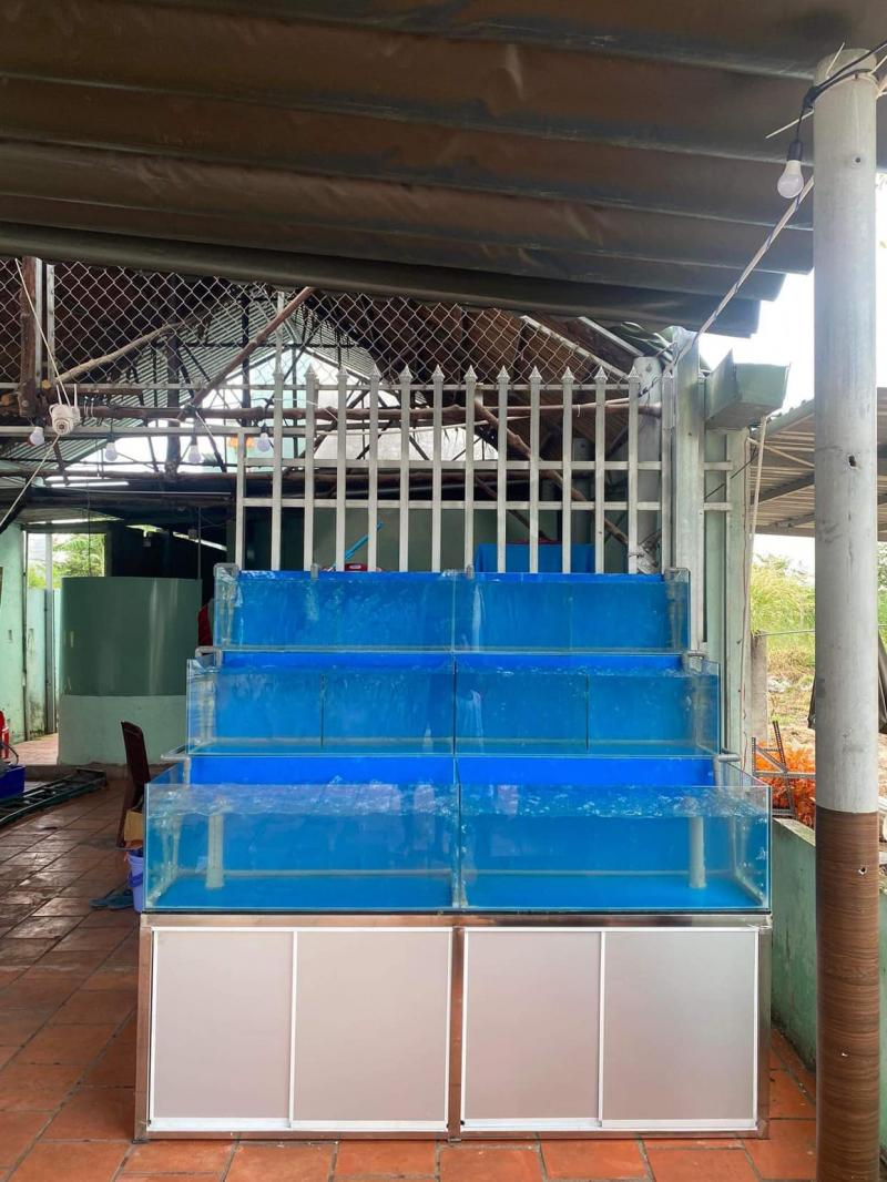 Công ty TNHH DV Hồ cá Cát Tường