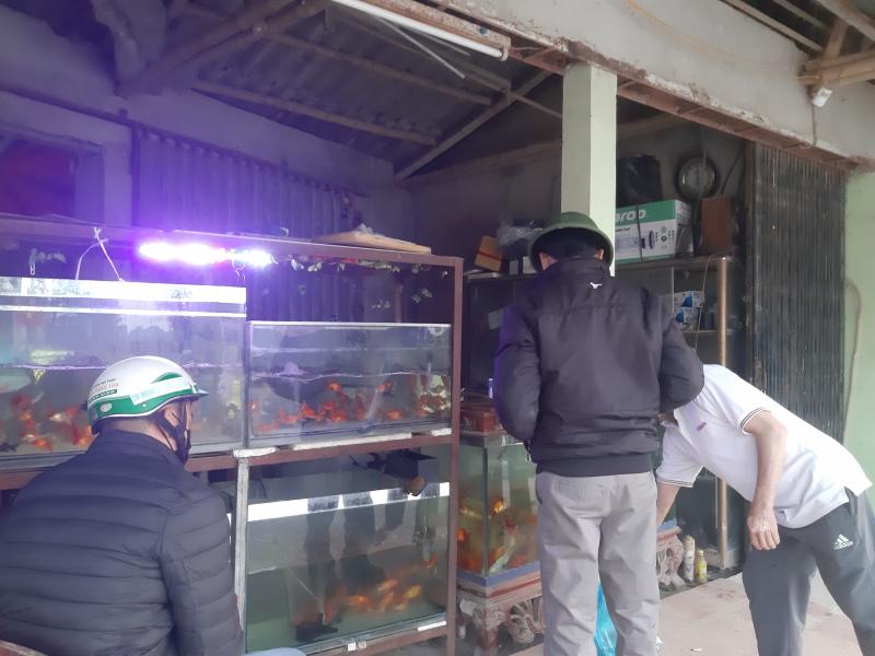 Công ty TNHH DV TM Cá cảnh Triệu Sơn