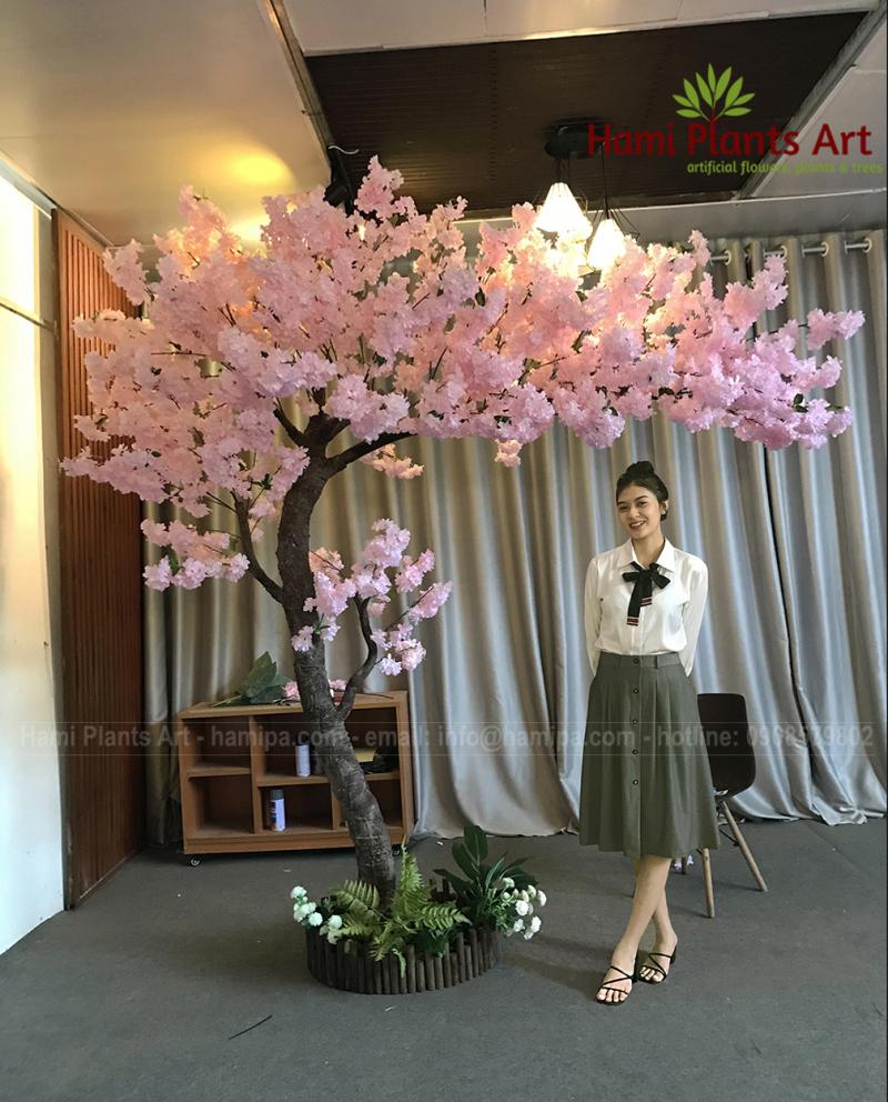 Cây giả trang trí - Hami Plants Art