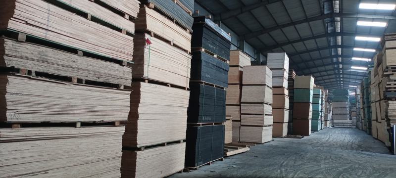Công ty TNHH Tản viên