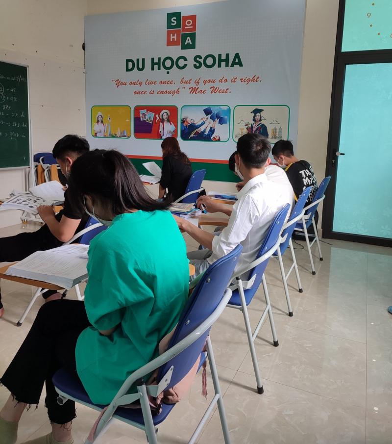 Công Ty TNHH Tư Vấn - Đào Tạo Soha