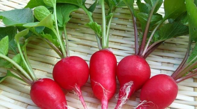 Chất xơ trong củ cải đường có tác dụng làm giảm cholesterol và triglyceride